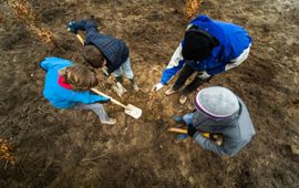 Kinderen planten een bos aan