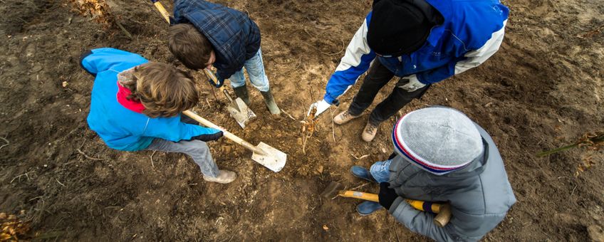 Kinderen planten een bos aan