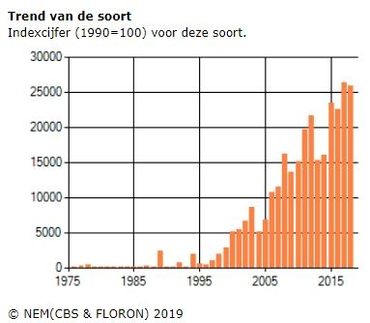 Trendgrafiek voor de verspreiding van Veelbloemige roos in Nederland (1990=100) 