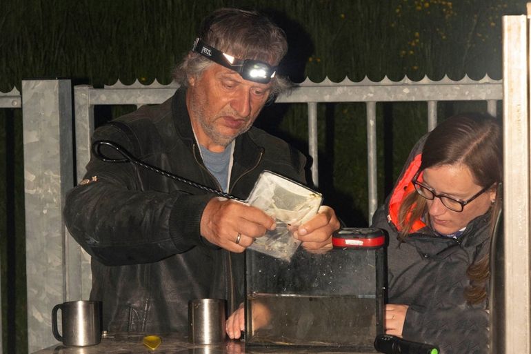 Vrijwilligers Marius van Kampen en Desirée van der Vliet tellen de glasalen van een succesvolle trek bij gemaal Schoute bij Scheveningen