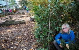 groen schoolplein, Wageningen