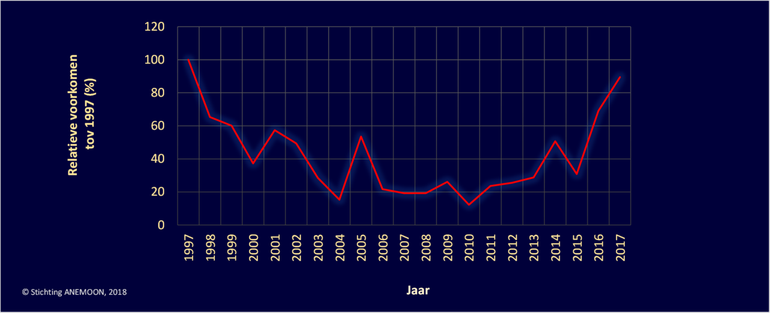 Het relatieve voorkomen van de Platte oester in de Oosterschelde ten opzichte van 1997 op basis van gegevens verkregen uit het Monitoringproject Onderwater Oever (MOO). Zie voor methode: Het Duiken Gebruiken 3. De link naar dit rapport wordt onder aan dit artikel gegeven