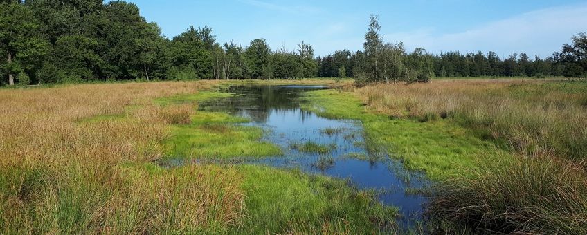 Leenderbos