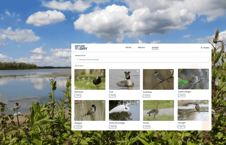 Weergave van verwachte vogelsoorten in de Nature Today-app aan de start van wandelroute ‘Kleine Noordwaard’ van Staatsbosbeheer (Bandijk 4251MP Werkendam)