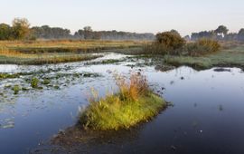 beeldbank provincie Noord-Brabant - eenmalig gebruik Westelijke Langstraat