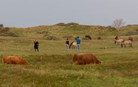 Bron: PWN Te dicht langs in het wild levende dieren lopen, verhoogt de kans op ongewenst gedrag van de dieren