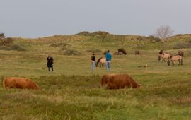 Te dicht langs in het wild levende dieren lopen, verhoogt de kans op ongewenst gedrag van de dieren