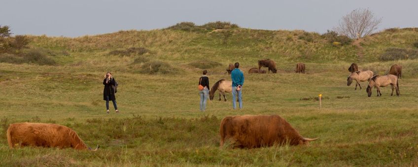 Te dicht langs in het wild levende dieren lopen, verhoogt de kans op ongewenst gedrag van de dieren