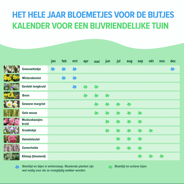 Kalender voor bijvriendelijke tuin 