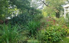 Tuin Vogelbescherming Nederland