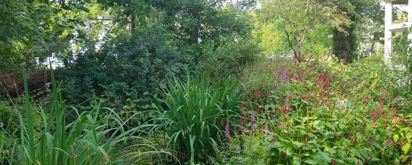 Tuin Vogelbescherming Nederland