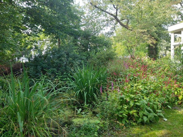 Een natuurlijke tuin