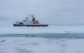 Onderzoeksschip Polarstern in het Arctische zee-ijs tijdens de vorige zomerexpeditie SiPCA, waar onderzoekers van Wageningen Marine Research en het Alfred Wegener Instituut het Arctische ecosysteem onderzochten