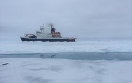 Fokje Schaafsma Onderzoeksschip Polarstern in het Arctische zee-ijs tijdens de vorige zomerexpeditie SiPCA, waar onderzoekers van Wageningen Marine Research en het Alfred Wegener Instituut het Arctische ecosysteem onderzochten