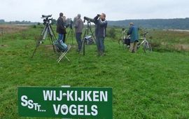 Vogels tellen in de Blauwe Kamer bij Rhenen (U)