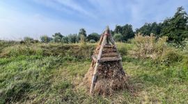 Een bijenruiter op Werk aan de Waalse Wetering