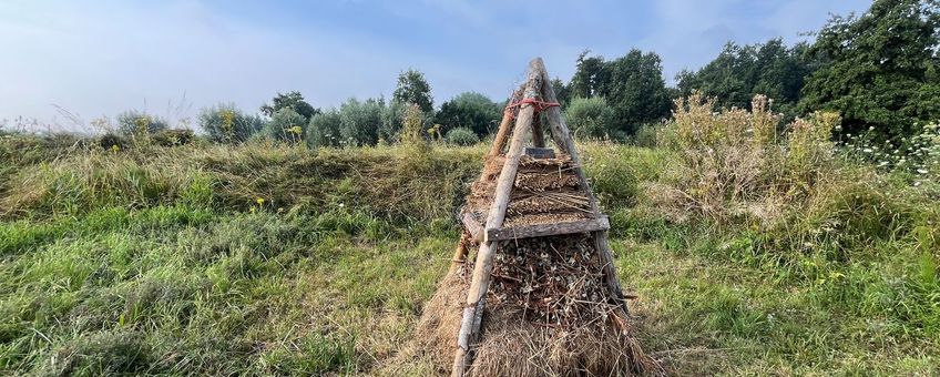 Een bijenruiter op Werk aan de Waalse Wetering