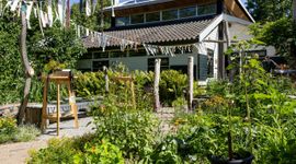 Klimaatadaptieve inspiratietuin in Maarssen