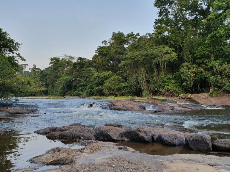 De rivier 's ochtends vroeg