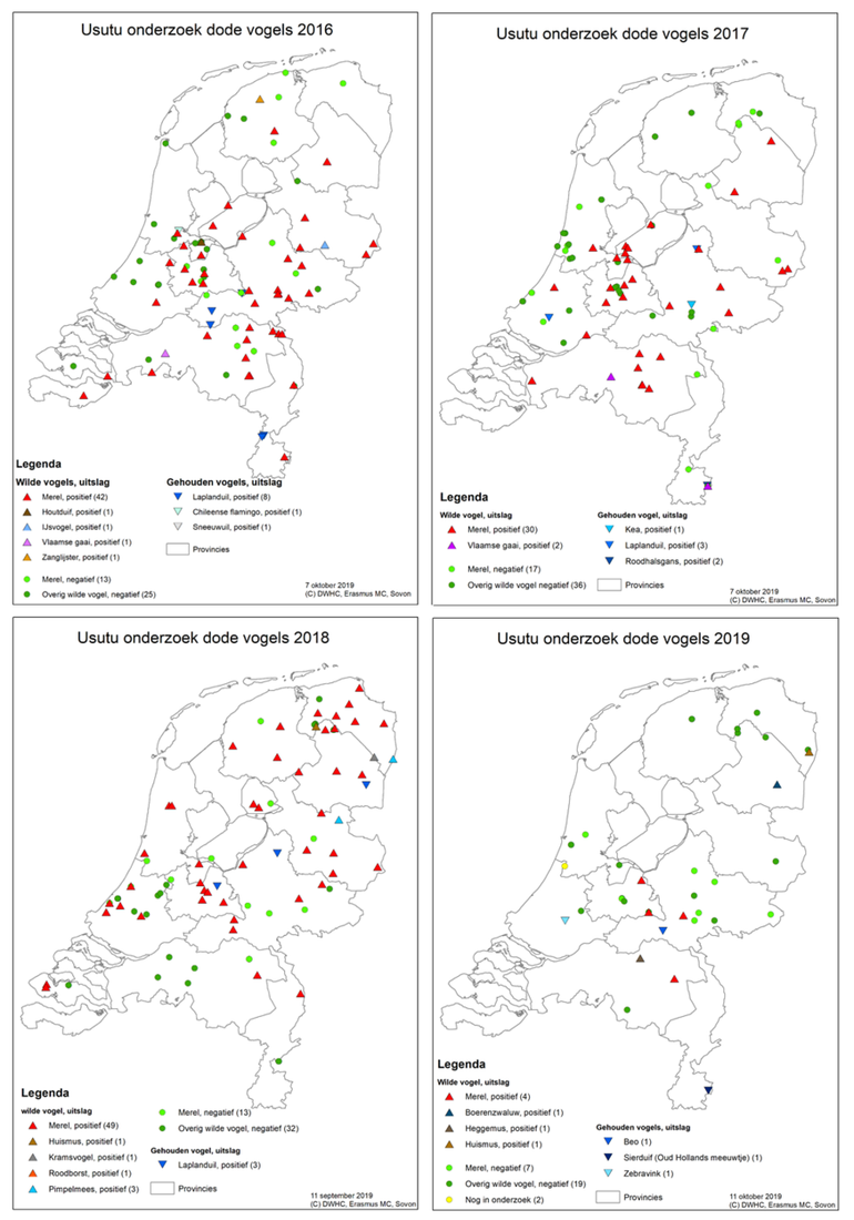 Figuur 4 t/m 7: Geografische weergave van op usutuvirus onderzochte dode vogels in 2016 t/m 2019