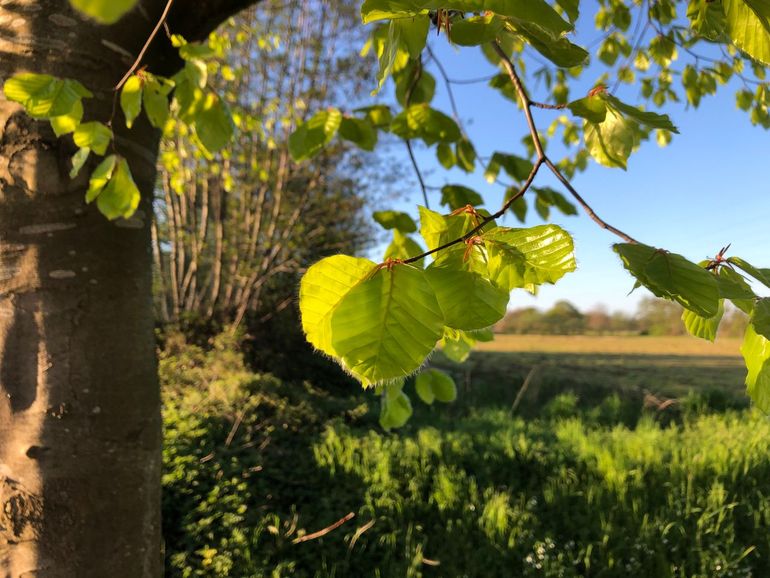 Een gezonde leefomgeving voor mens en natuur