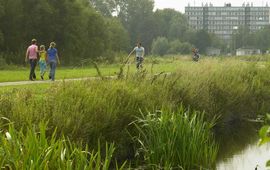 Staatsbosbeheer Meer groen in en om de stad Utrecht. Gezond voor ons, verkoelend voor de stad en goed voor de biodiversiteit.