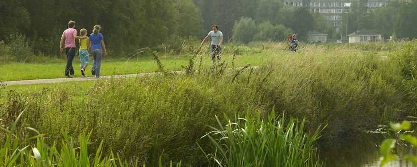 Meer groen in en om de stad Utrecht. Gezond voor ons, verkoelend voor de stad en goed voor de biodiversiteit.