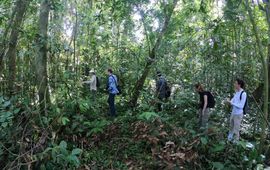 Op onderzoek in het tropisch regenwoud
