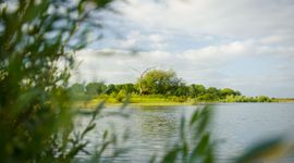 de Millingerwaard in de Gelderse Poort