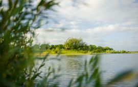 de Millingerwaard in de Gelderse Poort