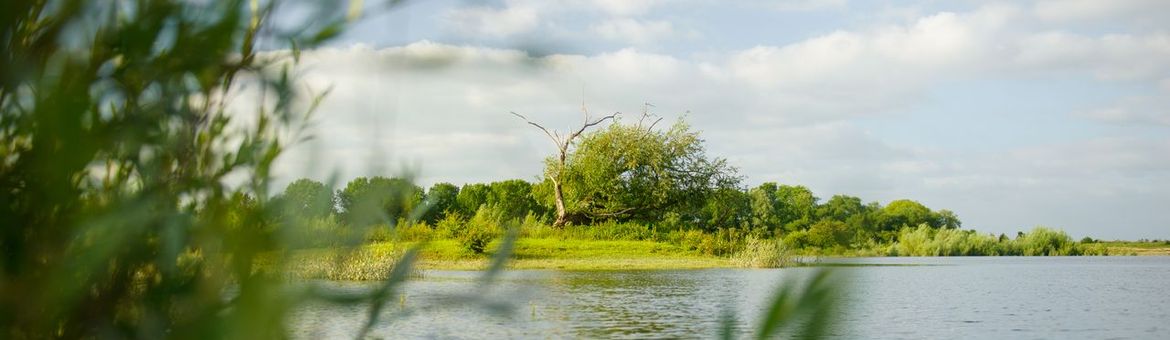 de Millingerwaard in de Gelderse Poort