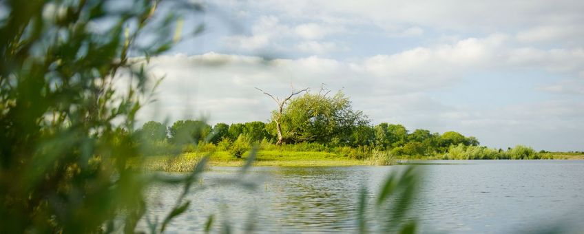 de Millingerwaard in de Gelderse Poort