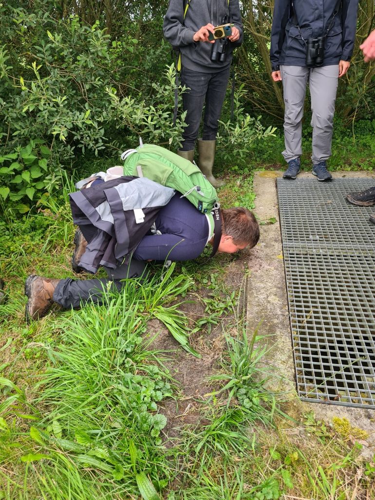 Ruiken aan otterpoep