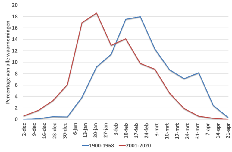 Figuur 1: Eerste bloeiwaarnemingen van de hazelaar in de jaren 1900 tot en met 1968 (blauw) en de jaren 2001 tot en met 2020 (rood). Voor elk blok van tien dagen staat het percentage doorgegeven waarnemingen weergegeven