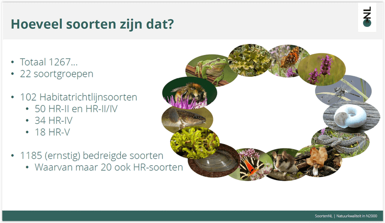 In totaal worden 1267 soorten besproken op de nieuwe website Natuurkwaliteit