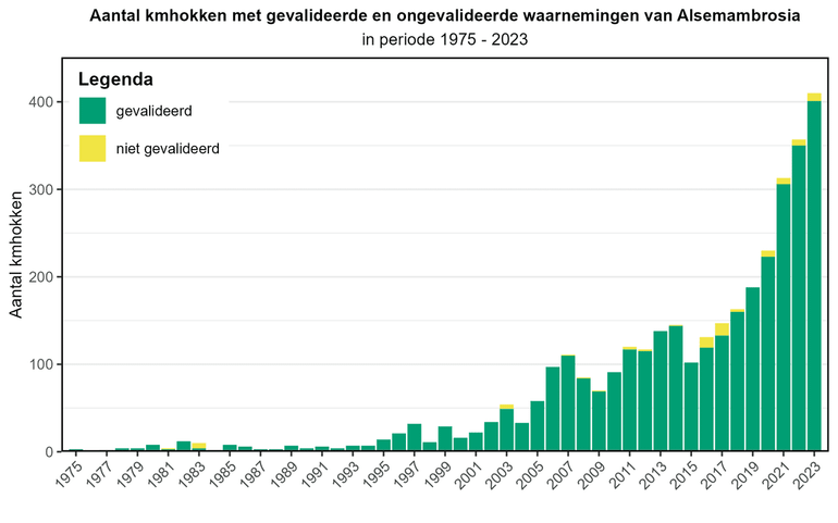 Totaal aantal kilometerhokken per jaar met gevalideerde en ongevalideerde waarnemingen van Alsemambrosia in de periode 1975-2023