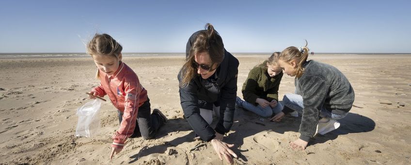 bijgesneden Schelpenteldag 2023