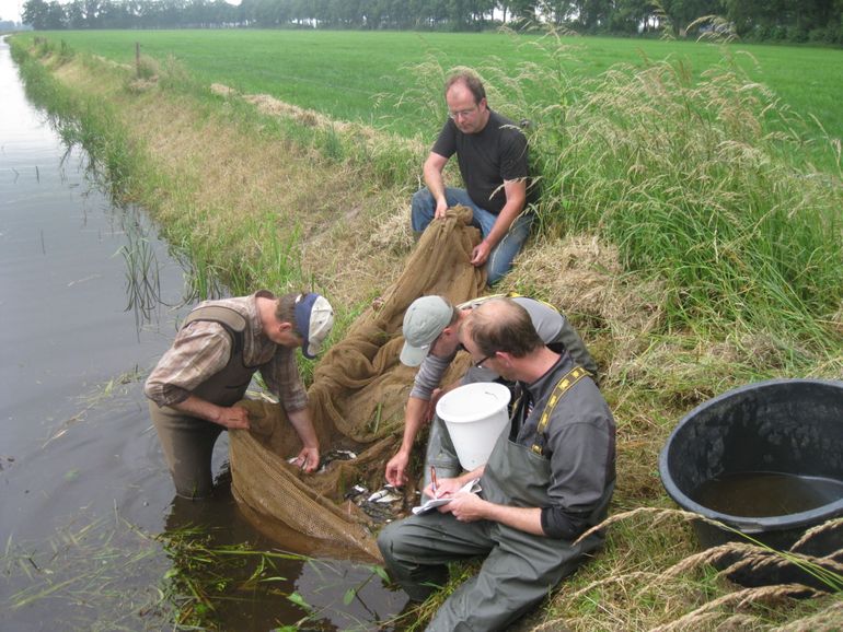 Vrijwilligers verzamelen data voor de visatlas Overijssel