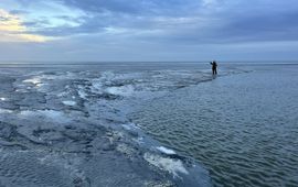 Afscheid van Waddeneiland Griend (eenmalig exclusief WMR)