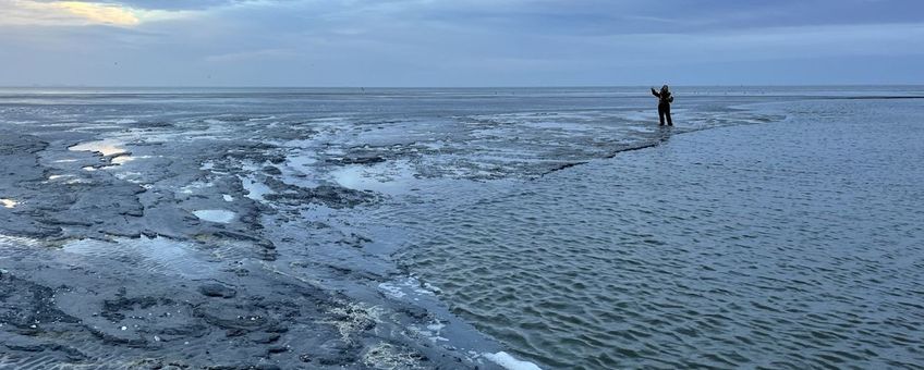 Afscheid van Waddeneiland Griend (eenmalig exclusief WMR)