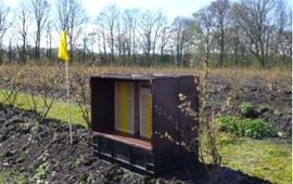 Nestblokken voor de solitaire bijen in een blauwe bessen plantage