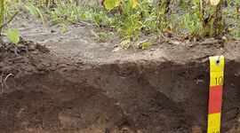 Microben in de bodem