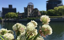 Witte klaver in de stad van Hiroshima in Japan bij de atoombom koepel.