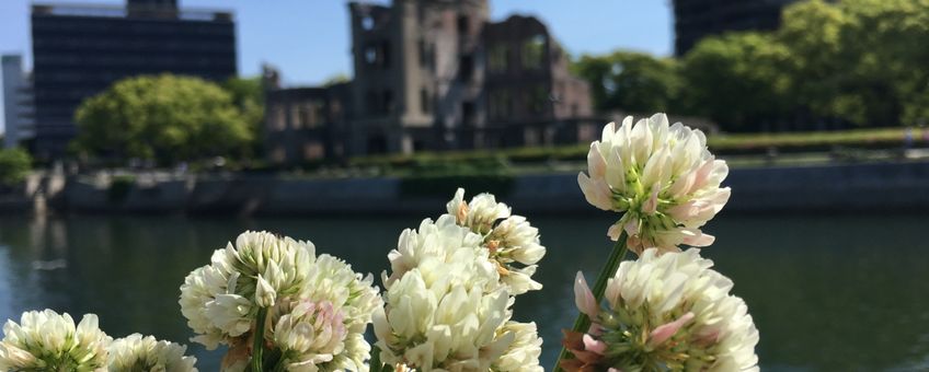 Witte klaver in de stad van Hiroshima in Japan bij de atoombom koepel.