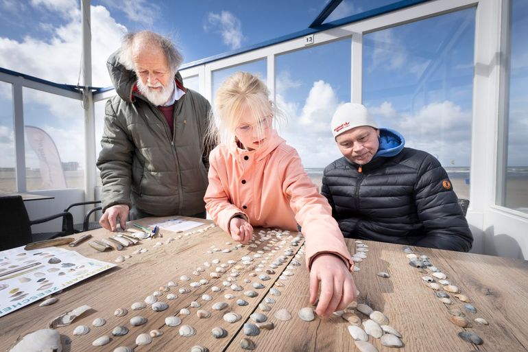 Breng je vondsten op naam met behulp van de Schelpdesk