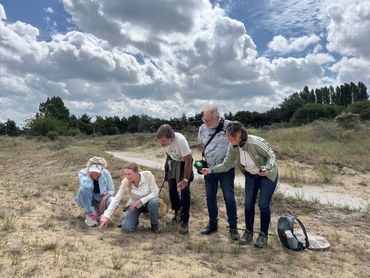 De zoektocht naar de winnaar van 2025 blijkt succesvol. B&eacute;n&eacute;dicte Ficq kijkt met insectenkenners naar een harkwespholletje. Geert Engels van IVN Natuureducatie kijkt mee hoe Vroege Vogels het moment vastlegt