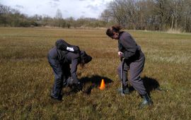 Onderzoekers nemen grondmonsters in Natura 2000 gebied De Bruuk.