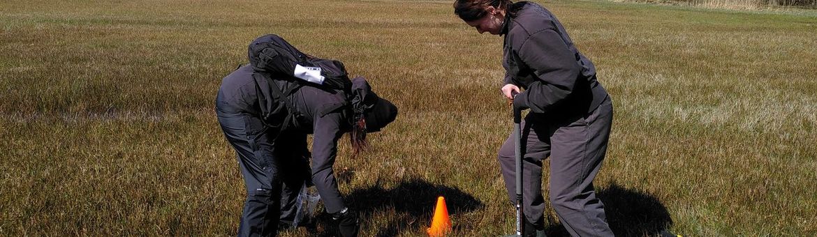 Onderzoekers nemen grondmonsters in Natura 2000 gebied De Bruuk.