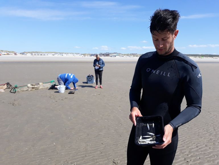 Joey Volwater met een vangst van kleine goudhardertjes