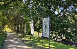 Tentoonstellingsborden in de Hortus